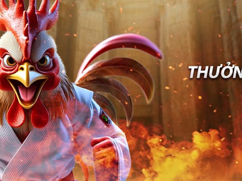 Các sự kiện và giải đấu đặc biệt tại 58win